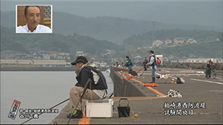 関連動画