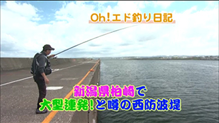 関連動画