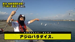 関連動画